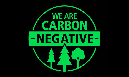 Norbord explains new carbon negative status